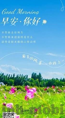 足球比分15:0-足球比分15:0，一场悬殊对决背后的体育精神与人性光芒