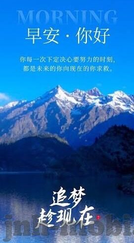 足球比分走地网-足球比分走地网，实时数据背后的竞技狂欢与理性审视